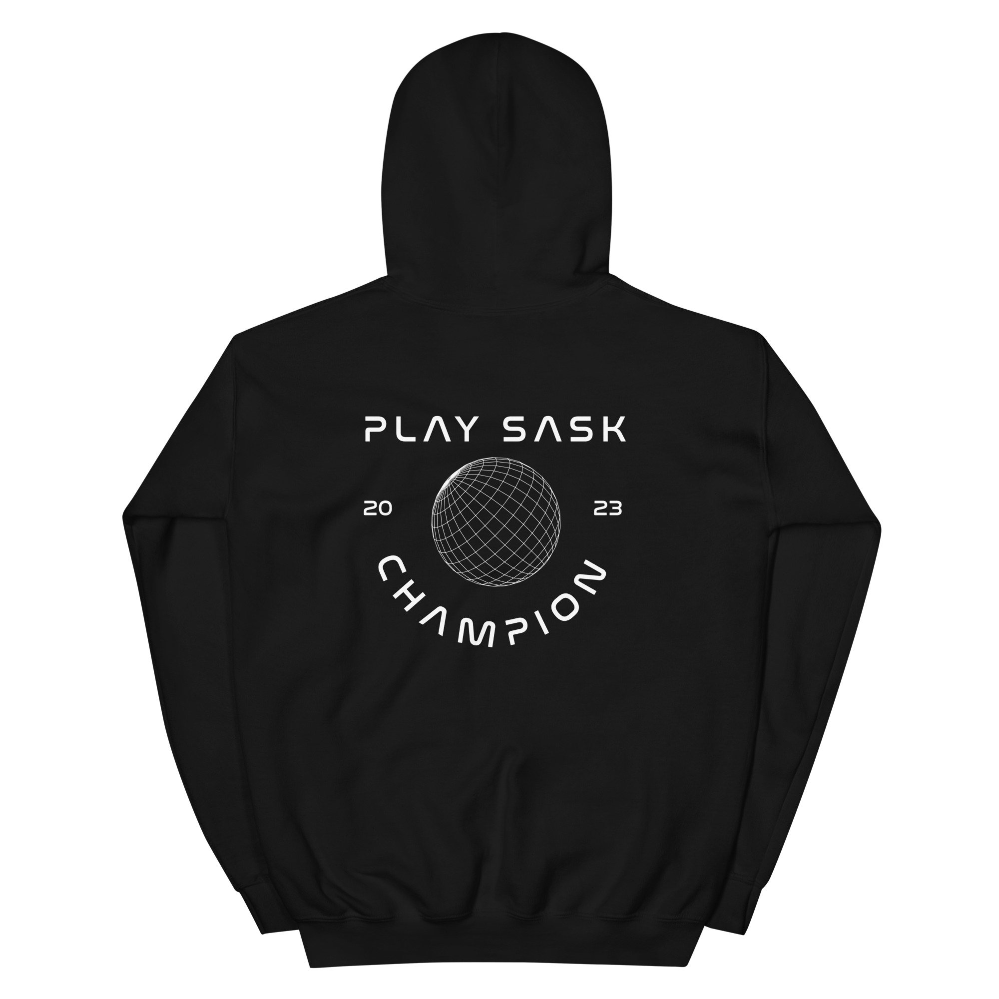 Champion hoodie sales back logo